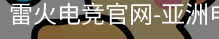雷火电竞